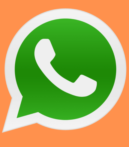 WhatsApp Bulk Sender + Group Sender + WhatsApp Auto Replay Bot