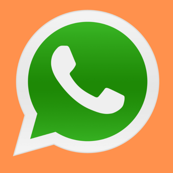 WhatsApp Bulk Sender + Group Sender + WhatsApp Auto Replay Bot